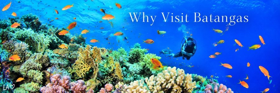 Why Visit Batangas | Incredible Diving & Coral Reefs Scuba diver exploring a colorful coral reef surrounded by tropical fish in the blue waters of Batangas, Philippines.